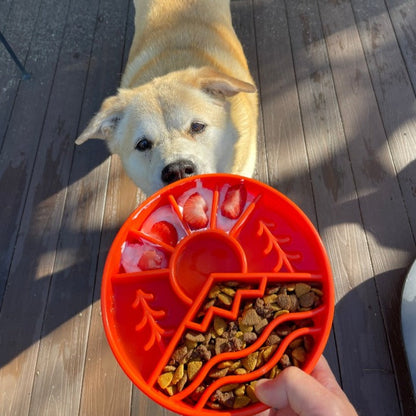 SodaPup Great Outdoors Slow Feeder Dog Bowl – Enrichment & Slow Feeding
