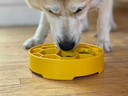 SodaPup Honeycomb Slow Feeder Dog Bowl – Enrichment & Anxiety Relief